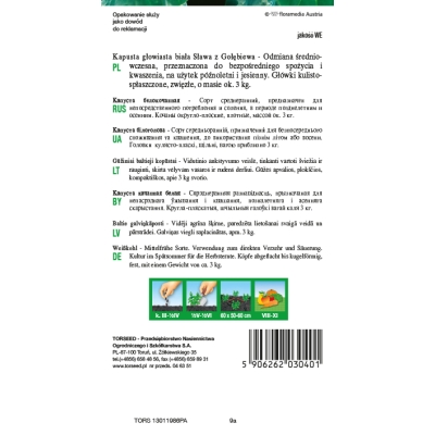 Kapusta Sława z Gołębiewa nasiona kapusty